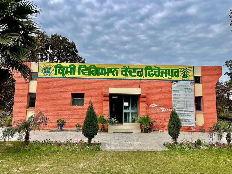 KVK, Ferozepur